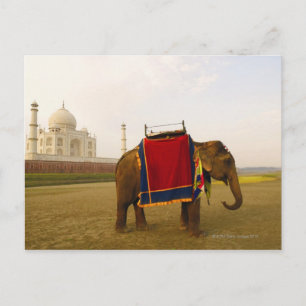 Carte Postale Profil latéral d'un éléphant, Taj Mahal, Inde