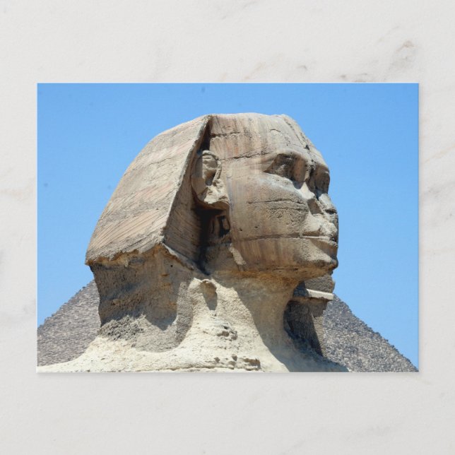 Carte Postale profil sphinx (Devant)