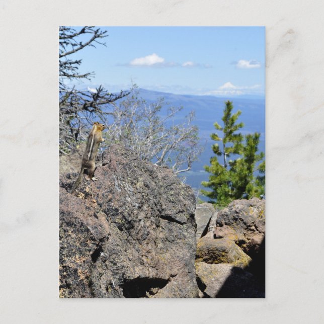 Carte Postale Profiter de la vue (Devant)