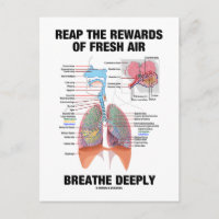 Profitez Des Récompenses D'Une Respiration Aérienn