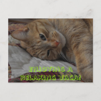 Carte Postale , Profitez d'un séjour de détente !