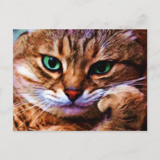 Carte postale profonde