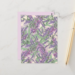 Carte Postale Profusion de Lavande Poussiéreuse Lavande Floral R