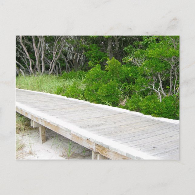 Carte Postale Promenade à Davis Park (Devant)