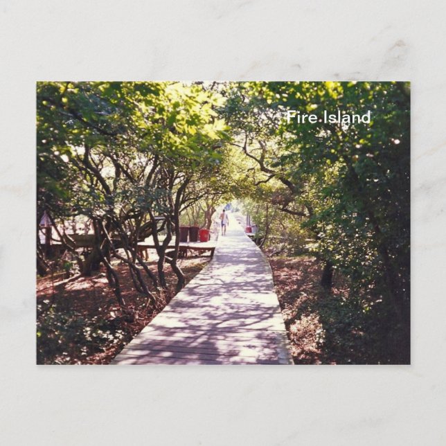 Carte Postale Promenade à Davis Park on Fire Is. (Devant)