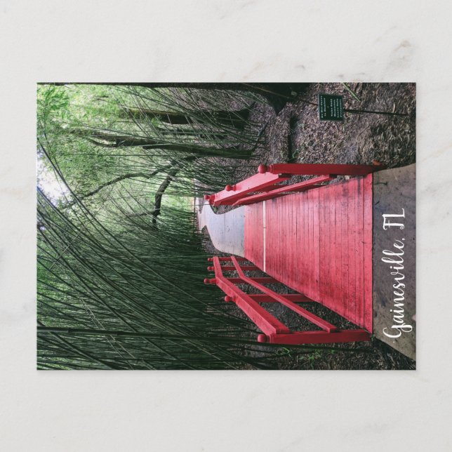 Carte Postale Promenade après-midi (Devant)