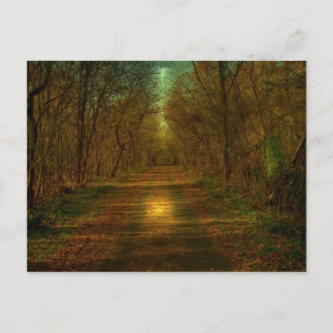 Carte Postale promenade au clair de lune Lynchburg City Trails