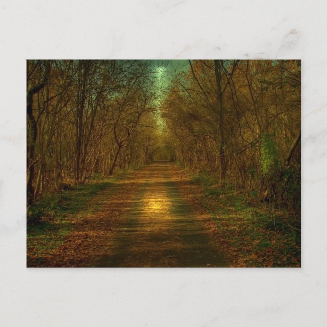 Carte Postale promenade au clair de lune Lynchburg City Trails (Devant)