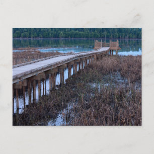 Carte Postale Promenade au-dessus d'une tourbière dans le refuge