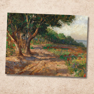 Carte Postale Promenade bordée d'ormes à Euxinograd