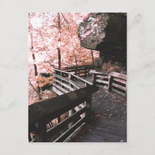 Carte Postale promenade brandywine