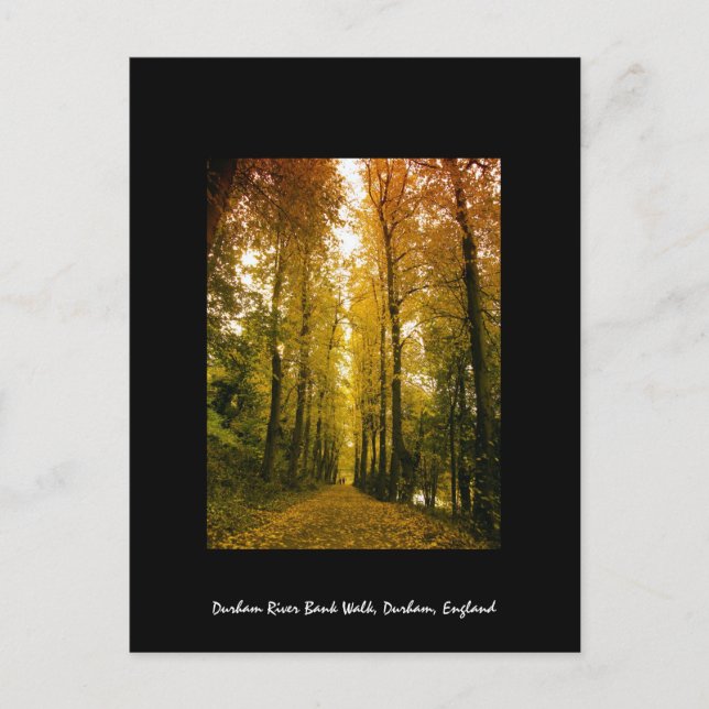 Carte Postale Promenade d'automne (Devant)