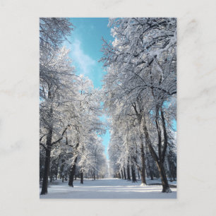 Carte Postale promenade d'hiver dans le parc
