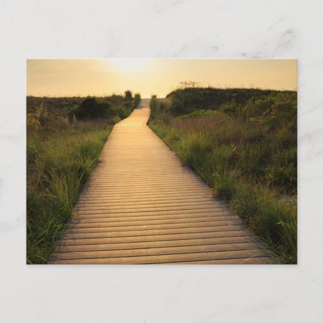 Carte Postale Promenade en bois vers la plage (Devant)
