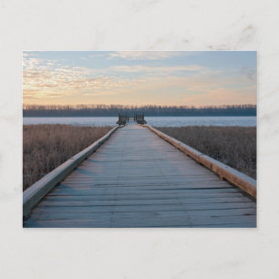 Carte Postale Promenade en bord de rivière et zones humides au l