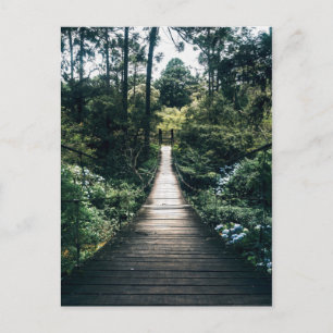 Carte Postale Promenade en planches à travers la forêt
