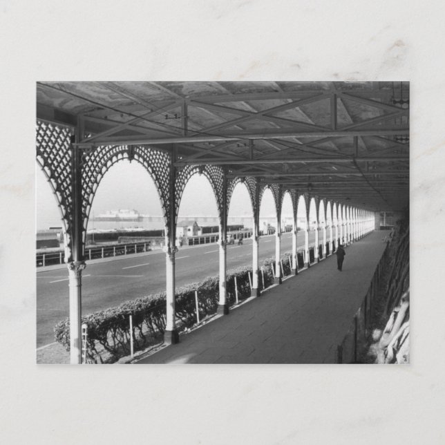 Carte Postale Promenade matinale (Devant)