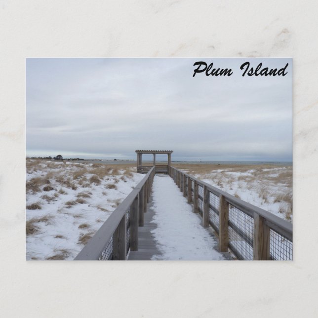 Carte Postale Promenade sur la plage (Devant)