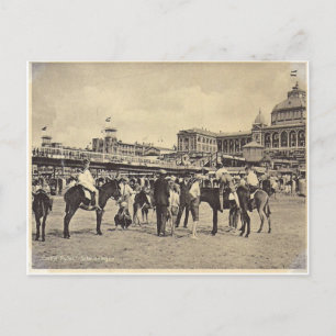 Carte Postale Promenades à dos d'âne, Scheveningen 1906