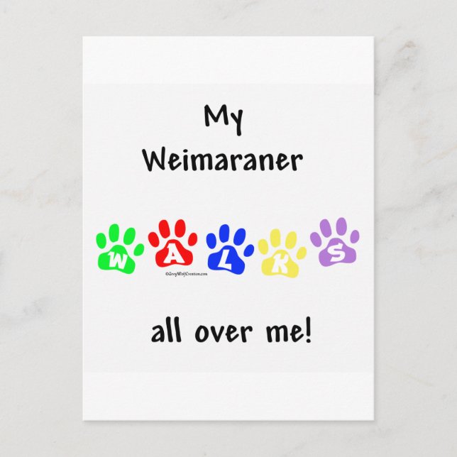 Carte Postale Promenades Weimaraner (Devant)