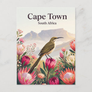 Carte Postale Promerops du Cap, Le Cap Afrique du Sud