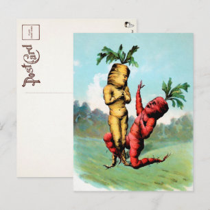 Carte postale Proposition de carottes de Victoria