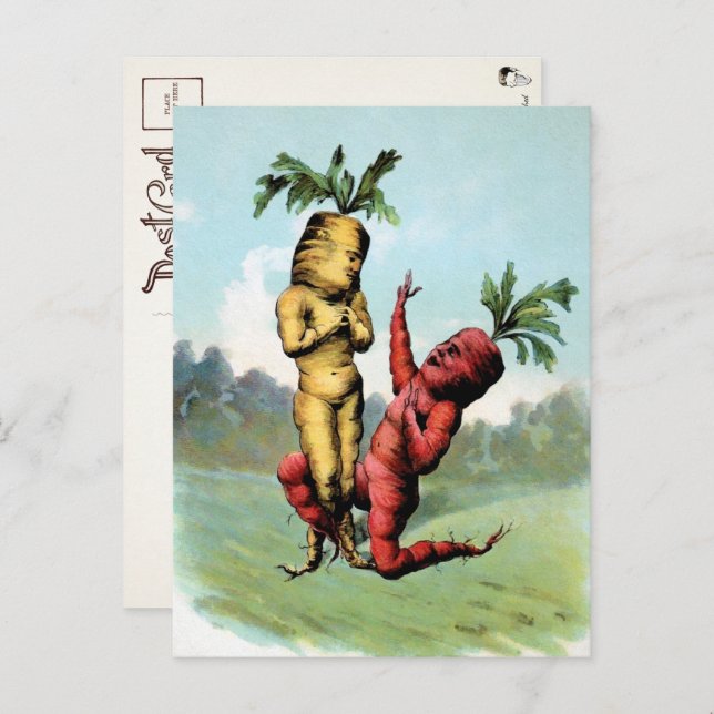 Carte postale Proposition de carottes de Victoria  (Devant / Derrière)