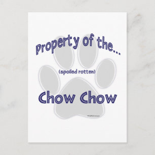 Carte Postale Propriété Chow