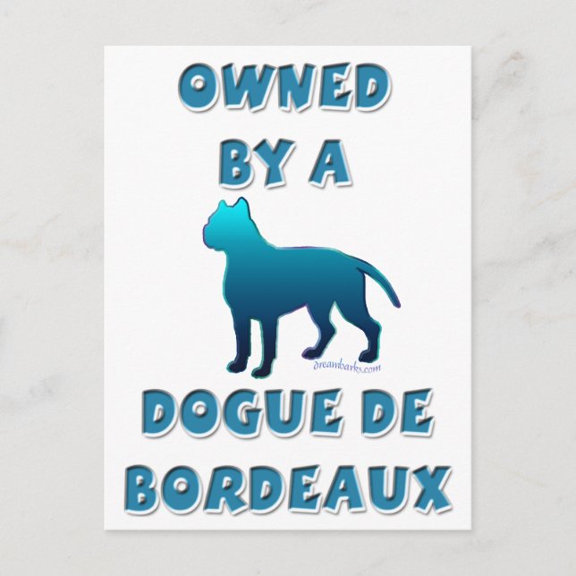Carte Postale Propriété d'un Dogue de Bordeaux (Devant)