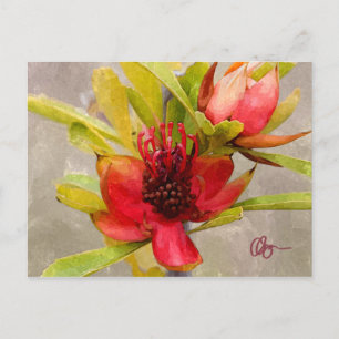 Carte Postale Protea Love