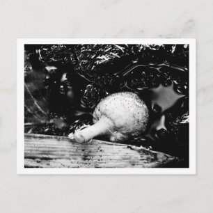 Carte Postale protecteur sombre