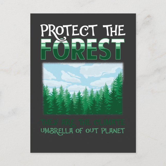 Carte Postale Protection des forêts Nature Environnement Sensibi (Devant)