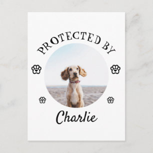 Carte Postale Protégé par un chien - Motif d'empreinte de patte