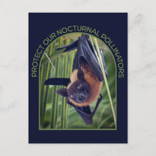 Carte Postale Protéger les chauves-souris