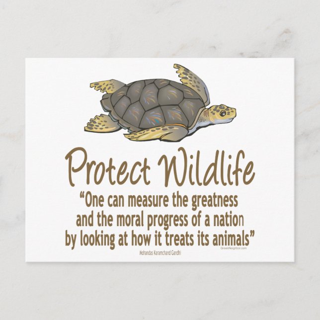 Carte Postale Protéger les tortues de mer (Devant)