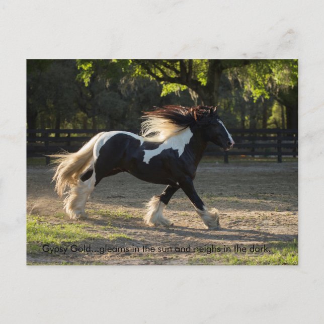 Carte postale provebe or tzigane (Devant)