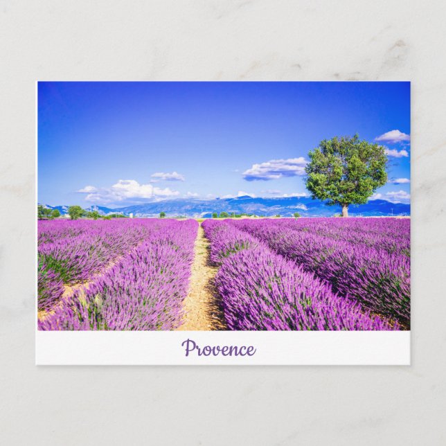 Carte Postale Provence (Devant)