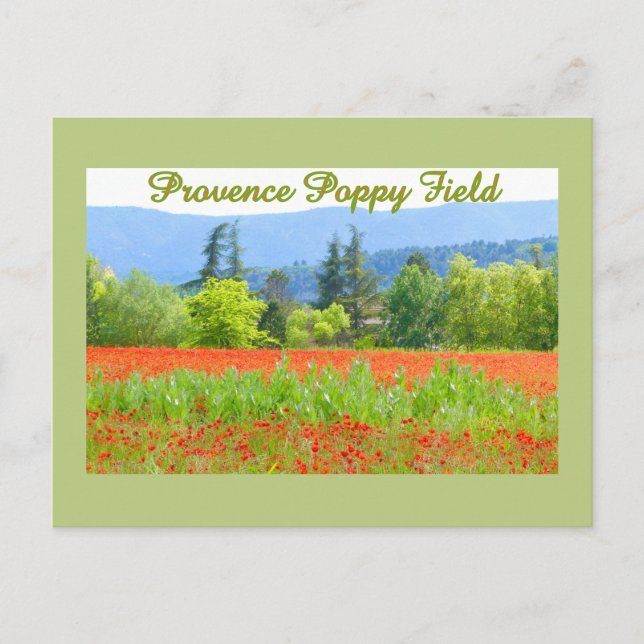 CARTE POSTALE PROVENCE FRANCE CHAMP POPPY (Devant)