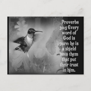 Carte Postale Proverbes 30:5 BIBLE SCRIPTURE avec colibri