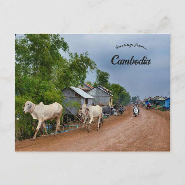Carte Postale Province de Kandal Cambodge (Devant)