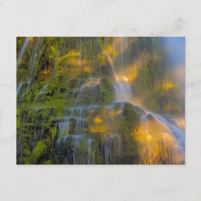 Carte Postale Proxy Falls Three Sisters Wilderness Oregon (Devant)