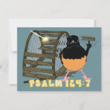 Psaumes—Shama blanc fracassé