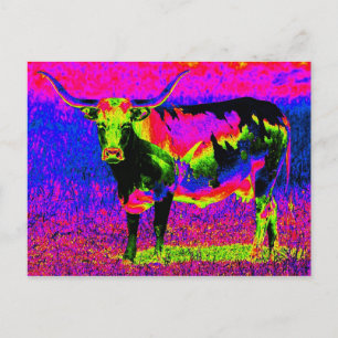 Carte Postale Psychédélique Texas Longhorn Cow