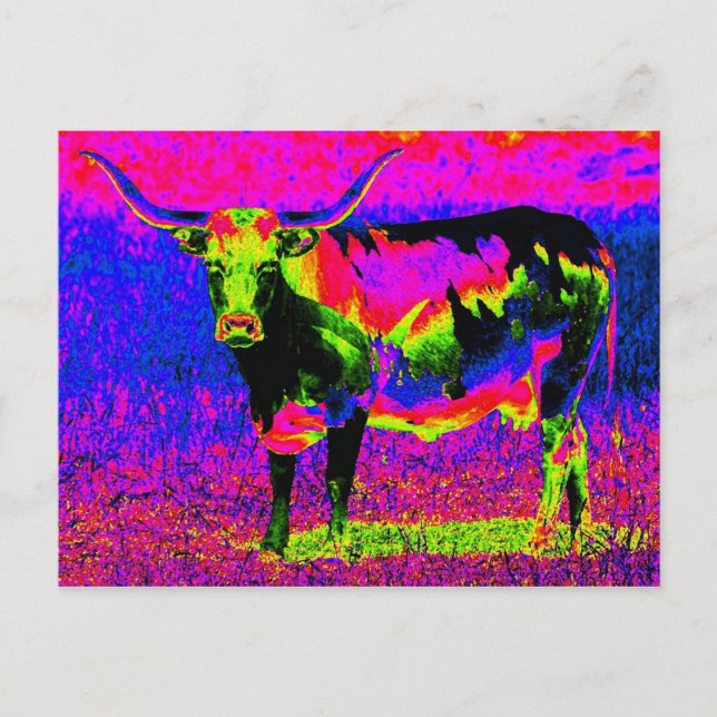 Carte Postale Psychédélique Texas Longhorn Cow (Devant)