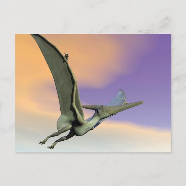 Carte Postale Pteranodon dinosaur flying - 3D render (Devant)