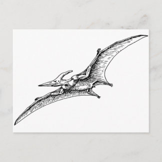 Carte Postale Pterodactyl