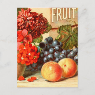 Carte Postale Pub colorée de sel de fruits