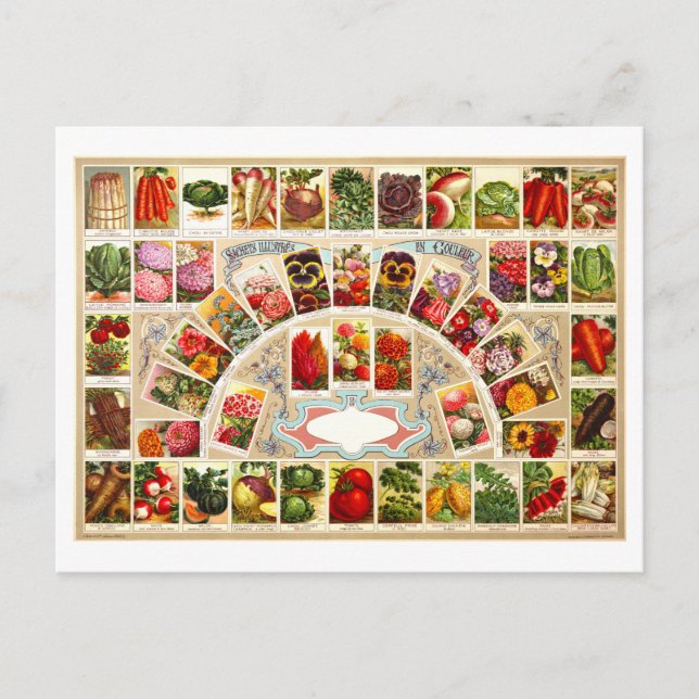 Carte Postale Publicité ancienne pour des semences de fruits et  (Devant)