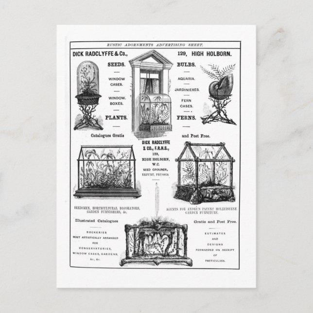 Carte Postale Publicité pour 'Dick Radclyffe & Co.' Publicité ru (Devant)