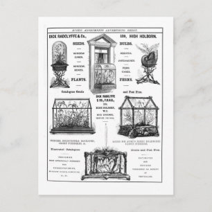 Carte Postale Publicité pour 'Dick Radclyffe & Co.' Publicité ru